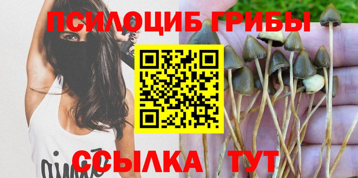 Барнаул  Псилоцибиновые грибы мухоморы  Вход с VPN  Галлюциногенные грибы MAGIC MUSHROOMS 